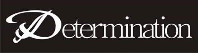 logo Determination (IDN)